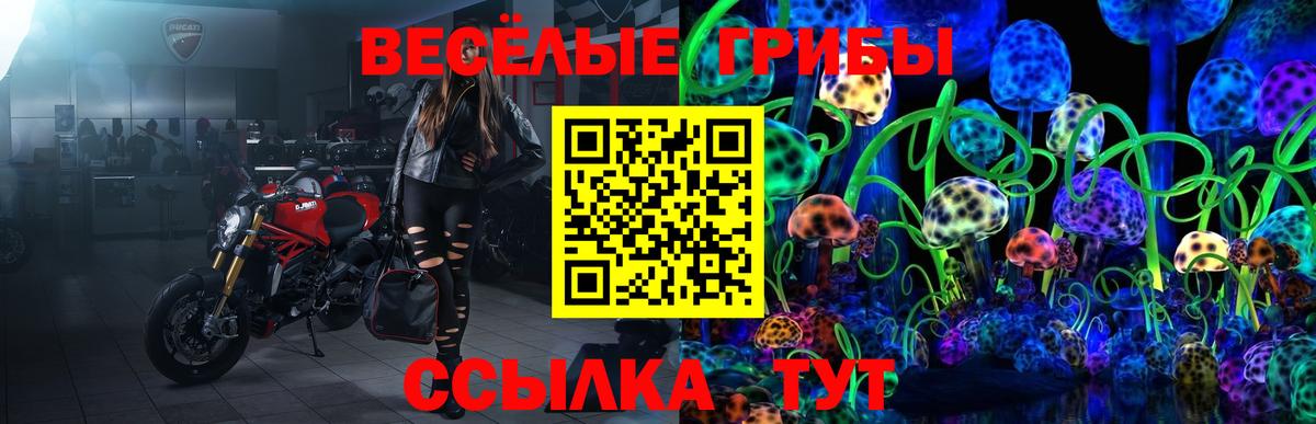 Шуя  Галлюциногенные грибы GOLDEN TEACHER  Вход с VPN 